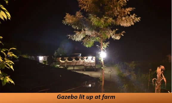 Gazebo lit up at farm